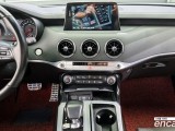 Kia Stinger 2.0 Turbo 2WD Platinum 17